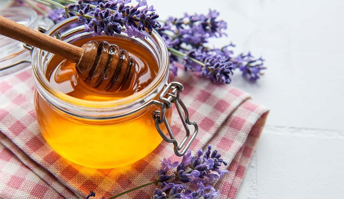 Miel de tomillo: dos variantes para disfrutar de un sabor único Miel de tomillo: dos variantes para disfrutar de un sabor único